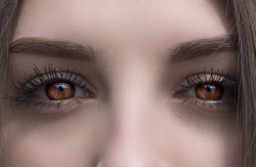 Fototapeta premium beautiful brown eyes close-up, female vampire