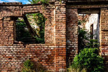 Ruins of old abandoned red brick house with windows and door and green grass inside. Damaged and Apocalyptic building concept