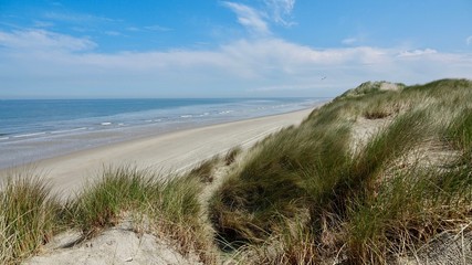Fototapeta na wymiar Dünenlandschaft an der Nordsee, Niederlande am Meer