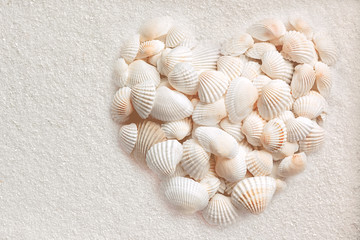  Muscheln liegen in Herzform auf weißem Sand