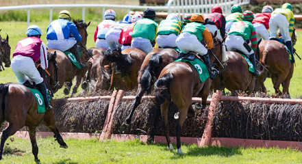 Race horses and jockeys jumping a hurdle on the track