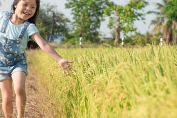 child hand with rice field