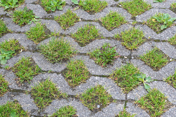 Stein Boden mit Gras im Zwischenraum