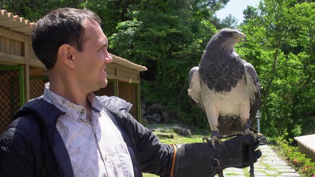 Male Tourist Posing for Photo with Black-Chested Buzzard-Eagle (Geranoaetus melanoleucus)