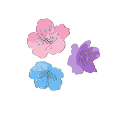 Pink, blue and purple flowers. Vector Illustration.