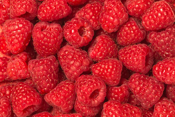 Fresh raspberry background. Macro food photography.