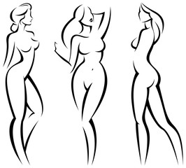 Set stylized beautiful women silhouettes