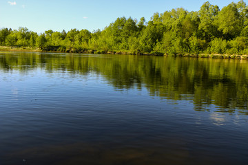 summer landscape. serene nature-green forest, clean river and a small beach.