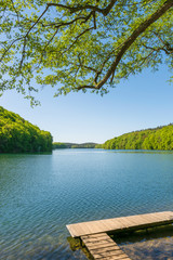 Obraz premium Steg am See in Feldberg - Mecklenburg Vorpommern