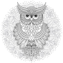  Coloring page with cute owl and floral frame.