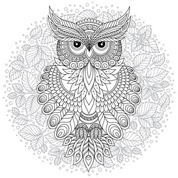  Coloring page with cute owl and floral frame.