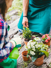 Young loving couple have fun watering flower plants on a wooden floor during spring day, they are...