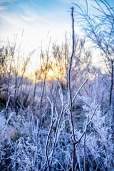 Sunrise in early winter