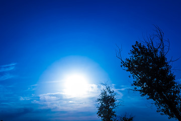 The Glow Of The Moon