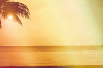Naklejka na ściany i meble ray sunset colorful sky silhouette coconut tree