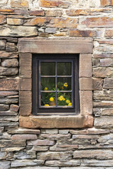 Terracotta flower pot with yellow flowers behind the window of a stone Belgian country house in Reuland, Burg-Reuland, Belgium