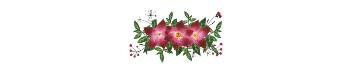 Red and pink flowers with green leaves on white isolated background. Watercolor illustration. Concept. Collage