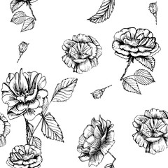 Seamless pattern cute hand drawn garden roses. Ink illustration white and dark background. Beautiful flower in your design. Vintage blossom decor.