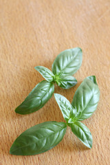 green fresh  basil leaves on a wooden cutboard