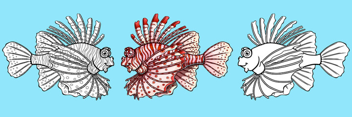 Fototapeta na wymiar Loinfish colorful and contour on blue