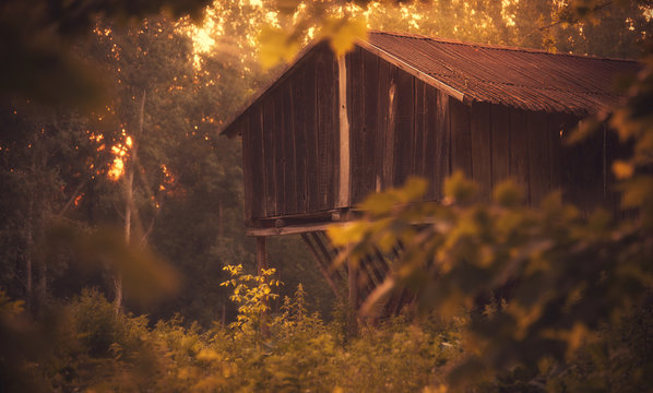 Wooden animals feeder house in the forest