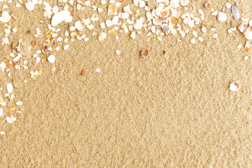 colorful shells in the sand of a beach