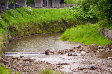 A beautiful mountain stream flowing in the riverbed. Visible stones in the river. Green grass growing on the shore.