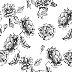 Seamless pattern cute hand drawn garden roses. Ink illustration white and dark background. Beautiful flower in your design. Vintage blossom decor.