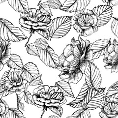 Seamless pattern cute hand drawn garden roses. Ink illustration white and dark background. Beautiful flower in your design. Vintage blossom decor.