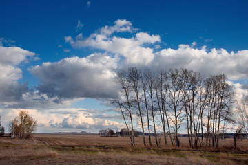 Spring in the steppes of Kazakhstan