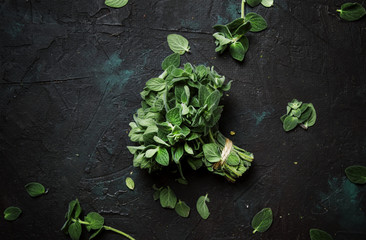 Fresh green oregano or Origanum vulgare in a beam, brown background, top view - obrazy, fototapety, plakaty
