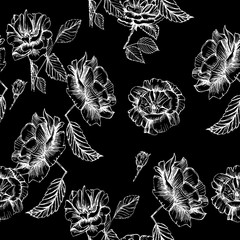 Seamless pattern cute hand drawn garden roses. Ink illustration white and dark background. Beautiful flower in your design. Vintage blossom decor.