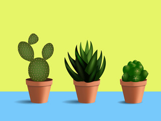 3d set of 3 succulents in round pots. Indoor plants on blue table and yellow background.