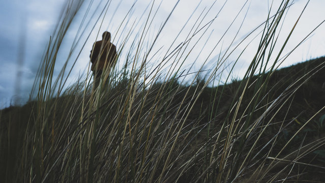 through the grass