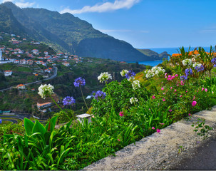 White and Blue Agapanthus Africanus, the African Lily in a flower bed next to top end of the Estrada do Guindaste inviting to impressive view to the Ponta do Clerigo