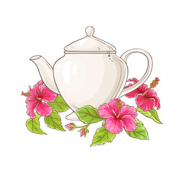 hibiscus tea illustration