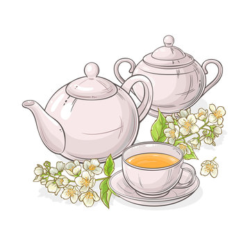 jasmine tea vector illustration
