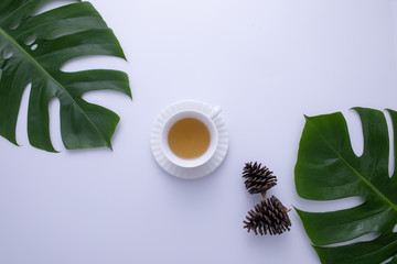 A glass of hot tea put with pine fruit and leaves decorated on white background.