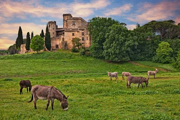 Deurstickers Lourmarin, Provence, France: landscape at dawn of the countryside with the ancient castle © ermess