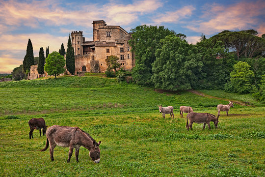Lourmarin, Provence, France: landscape at dawn of the countryside with the ancient castle