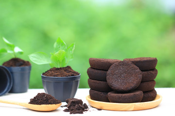Coffee ground, Coffee residue is applied to the tree and is a natural fertilizer, Gardening hobby