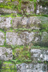 Vertical photo of an old dilapidated stone wall with sprouted green moss