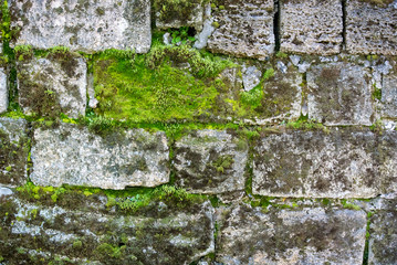 Photo of an old dilapidated stone wall with sprouted green moss