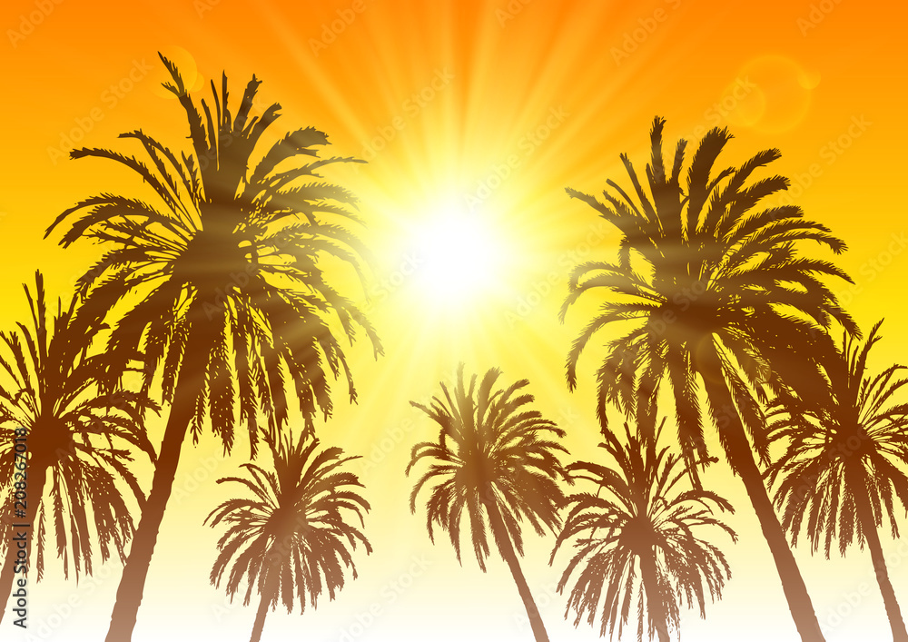 Wall mural Palm tree silhouettes on sunset sky background