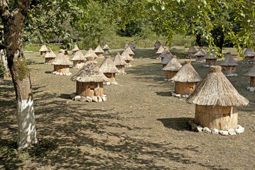 Apiary with bee hives in the form of small houses.