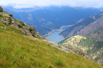 Naklejka premium dam