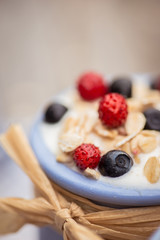 Yogurt. Stone bowl with fresh yogurt and berries on rustic table