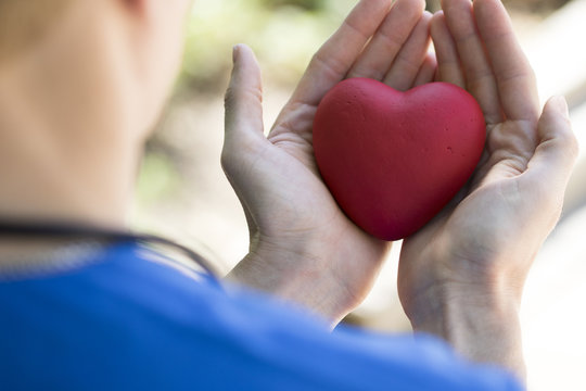 Heart in hands doctors on green background healthcare