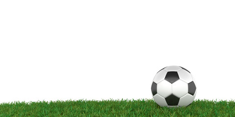 Fototapeta premium Fußball auf Rasen, weißer Hintergrund