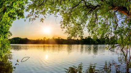 Fototapeta premium Jezioro z drzewami o zachodzie słońca w piękny letni wieczór